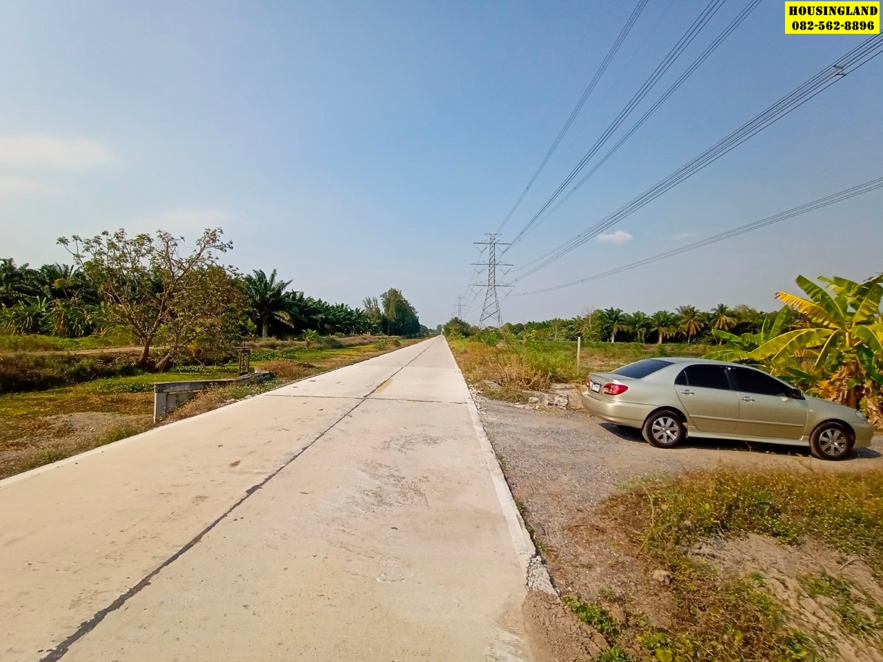 ขายที่ดินสวย ทำเลทอง ใกล้อบต.บึงบา ( คลอง 10 หนองเสือ ) ตำบลบึงบา อำเภอหนองเสือ จังหวัดปทุมธานี